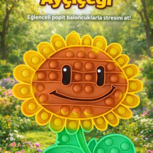 KAR1041V16 AY&Ccedil;İ&Ccedil;EĞİ POP IT